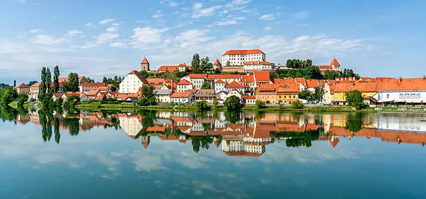 kombi prevoz Ptuj